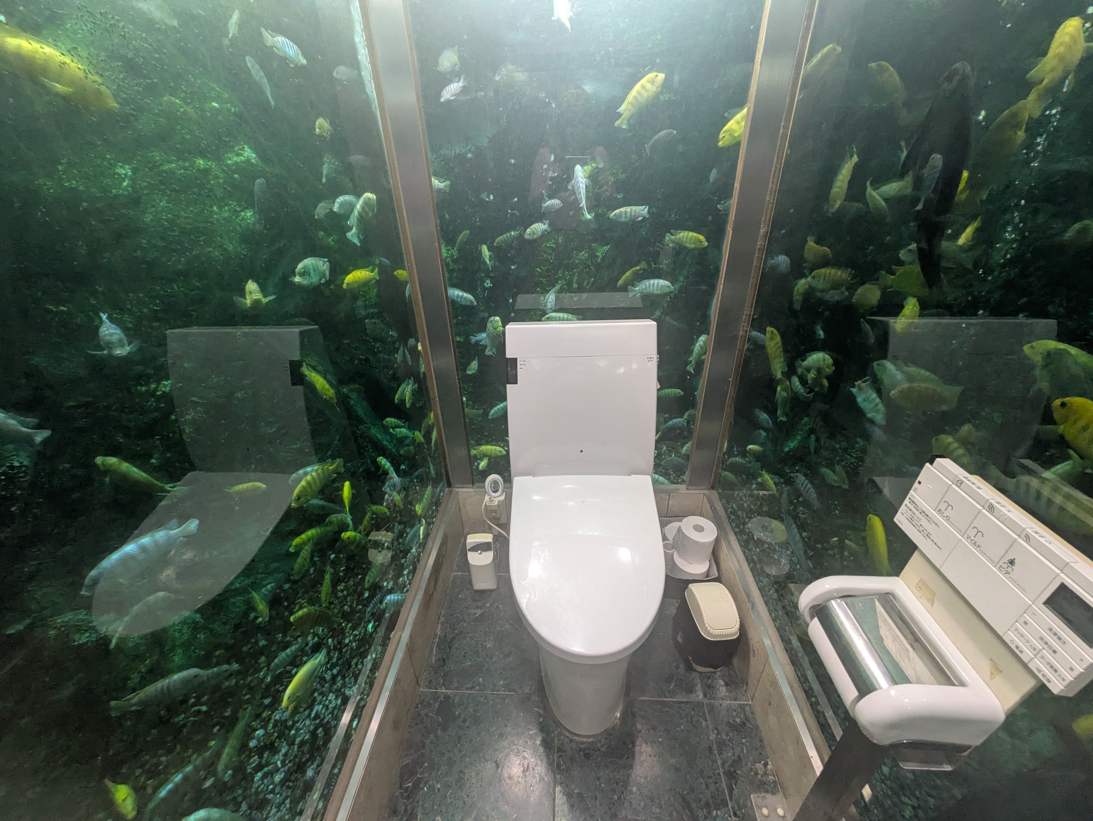 Guide to Akashi: a Kawaii Shrine and a Fishy Toilet